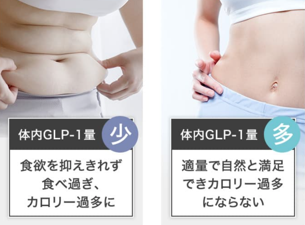 GLP-1メディカルダイエットが確実に痩せる理由
